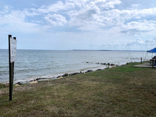 Calvert image